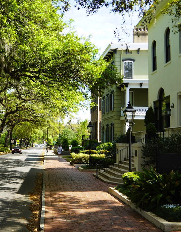 Dealers-Pointe-Georgia-Row-Image-2
